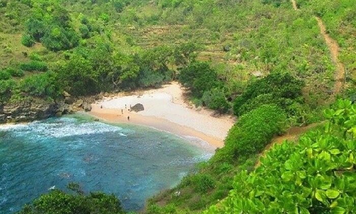 Ngetun Gunungkidul Beach A Beautiful Tiny Bay Is Rarely Touchable