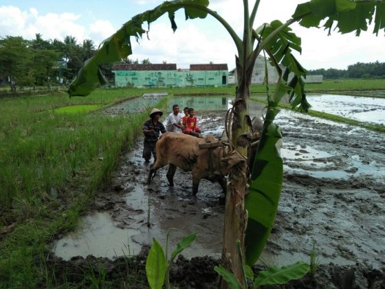 Kalakijo Tourism Village - Yogyakarta Tourism Portal