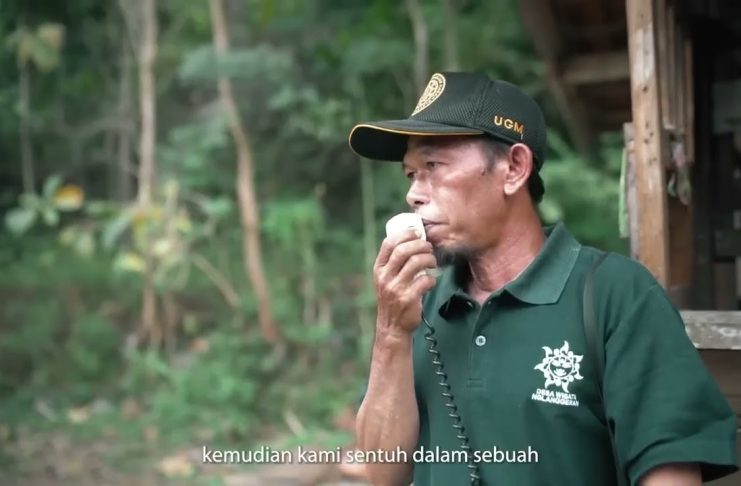 Nglanggeran Tourism Village, Gunungkidul