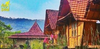 족자카르타의 ‘돌란 데소 보로 (Dolan Ndeso Boro)