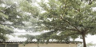 마리시니 (Marisini) 카페: 족자에서 멋있는 노는 곳