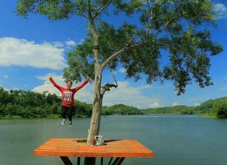 Menikmati scenery Waduk Sermo dari Bukit Pethu