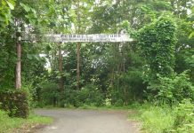 Hutan Wanagama Gunungkidul