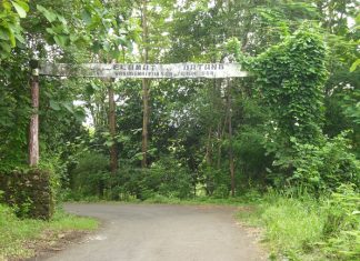 Hutan Wanagama Gunungkidul