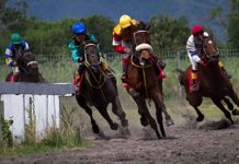 Pacuan Kuda Istimewa Piala Raja