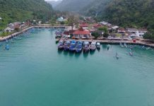 Berwisata di Pantai Sadeng, Pelabuhan di Kawasan Paling Timur Yogyakarta