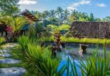 Desa Wisata Kembang Arum