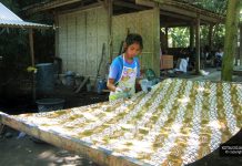 Desa Wisata Sembungan