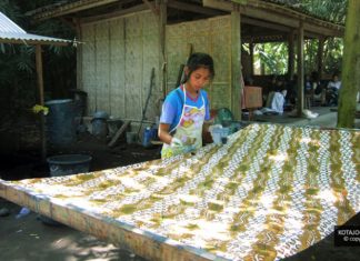 Desa Wisata Sembungan