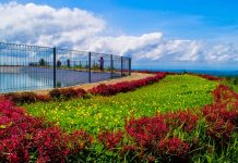 Embung Banjaroya Kalibawang, Ikon Baru Agrowisata Kulon Progo