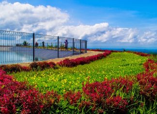 Embung Banjaroya Kalibawang, Ikon Baru Agrowisata Kulon Progo