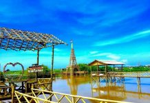 Mangrove Kadilangu, Kulon Progo