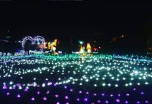 Festival Lampion di Pasar Seni Gabusan Bantul