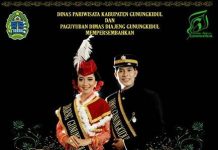 Pemilihan Dimas Diajeng Kab. Gunungkidul 2017