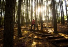 Destinasi Wisata Jogja yang Asyik Buat Berlebaran