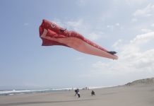 Hasil Pemenang Lomba Festival Layang-layang Nasional 2017