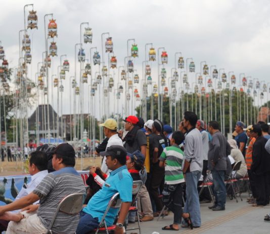Lomba Seni Suara Alam Burung Derkuku Piala Raja HB Cup 2017 (24 September 2017)