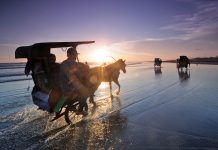 Mengejar Senja di Parangtritis