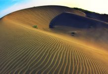 Gumuk Pasir Parangkusumo Bantul