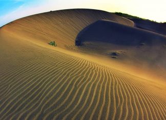 Gumuk Pasir Parangkusumo Bantul