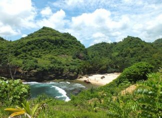 Pantai Ngetun GunungKidul Teluk Mungil Indah Jarang Terjamah