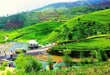 Desa Wisata Banjaroya