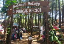 Puncak Becici