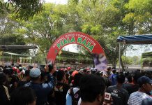 Paduan suara Burung Berkicau Ramaikan Piala Raja XIX di Taman Candi Prambanan