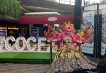 Colours of Cultures Festival 2018 “TASTE OF INDONESIA”