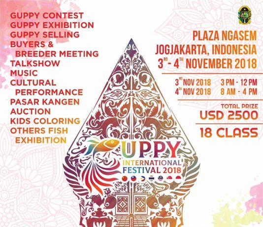 Guppy International Festival 2018 (3-4 November 2018)