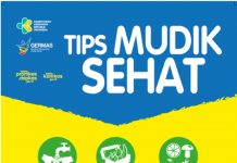Tips Mudik Sehat dari Kemenkes