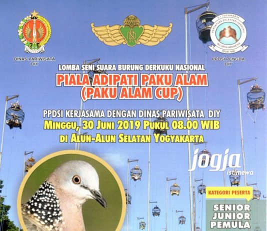 Piala Adipati Paku Alam: Paku Alam Cup (30 Juni 2019)