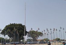 Ratusan Burung Meriahkan Piala Raja Hamengku Buwono Cup XXX 2019