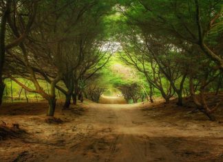 Pantai Cemoro Sewu, Rekomendasi Wisata Pantai yang Tak Hanya Main Air Melulu