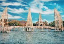 Berjalan-jalan di Hutan Konservasi Bakau, Hutan Mangrove Kulon Progo