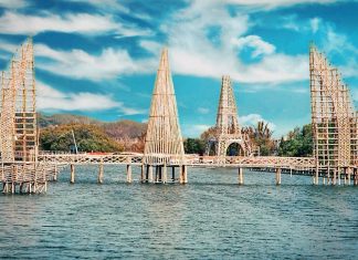 Berjalan-jalan di Hutan Konservasi Bakau, Hutan Mangrove Kulon Progo
