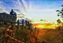 Berburu Sunrise yang Menakjubkan di Geoforest Watu Payung Turunan
