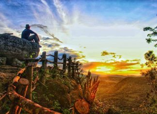 Berburu Sunrise yang Menakjubkan di Geoforest Watu Payung Turunan