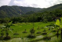 Desa Wisata Banjarsari