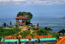 Mencoba Fying Fox terpanjang di Indonesia di Green Village Mertelu