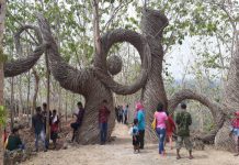 Desa Girisuko: Asa Hakiki dari Terjalnya Hutan Jati