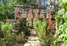 Desa Wisata Klayar Kedungpoh : Sebuah Sudut Keindahan di Tepi Sungai Oya