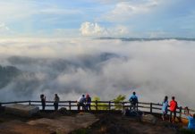 Liburan Penuh Kesan di Kebun Buah Mangunan