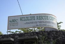 Berburu Insight Baru di Wisata Edukasi Wild life Rescue Center Jogja