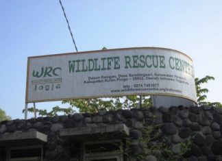 Berburu Insight Baru di Wisata Edukasi Wild life Rescue Center Jogja