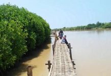 Hutan Mangrove Baros : Ekowisata Baru yang Dijamin Seru