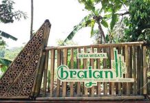 Desa Wisata Brajan : Pusatnya Kerajinan Bambu Kelas Dunia