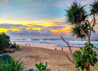 Pemandangan Pantai yang Cantik, Alami dan Asri dari Pantai Watu Kodok
