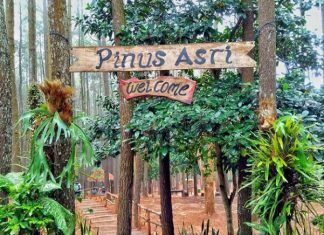 Pinus Asri Mangunan