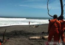 3 Rambu Wisata ke Pantai Goa Cemara Yogyakarta dan Pantai Selatan Jawa